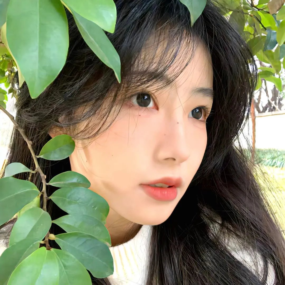 从山上看