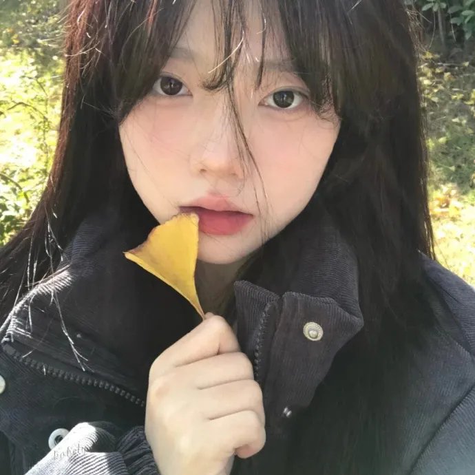 自由站