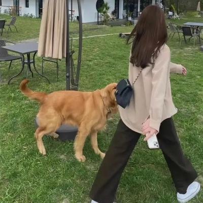 女王办公室粤语